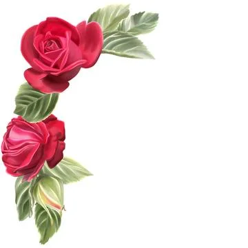 Corner floral design with two red roses and green leaves painted in waterco.. Stock Illustration