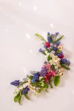 Corner flower flat lay from different wildflowers on a white background. Top Stock Photos