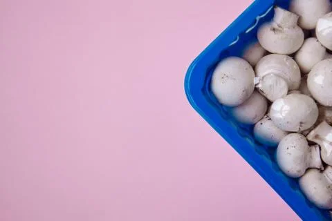 In the corner of the frame is a blue container. Stock Photos