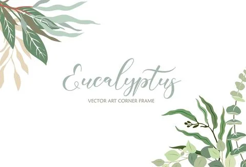 Corner frame with green leaves of eucalyptus. Stock Illustration