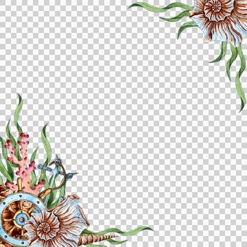 Corner frame helm, algae and seashells watercolor Stock Illustration