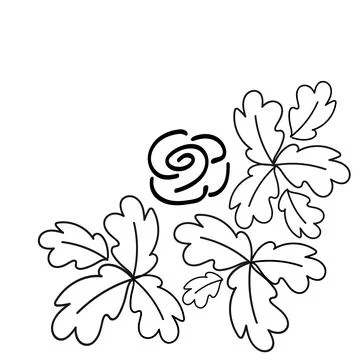 Corner frame of leaves and rose flower. Hand drawn in black. Stock Illustration