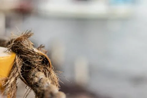 Corner from an old rope with blurry background Stock Photos