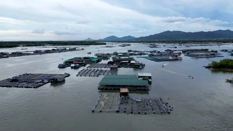 A corner of the oyster feeding farm, float fishing village in Long Son commune,  Stock Footage 201502159