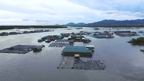 A corner of the oyster feeding farm, float fishing village in Long Son Stock Footage 201502181