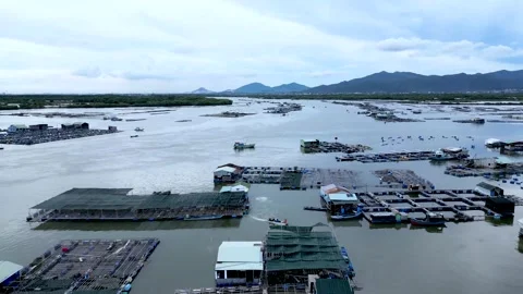 A corner of the oyster feeding farm, float fishing village in Long Son Stock Footage 201502182