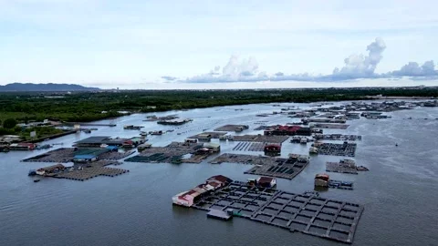 A corner of the oyster feeding farm, float fishing village in Long Son Stock Footage 201502233