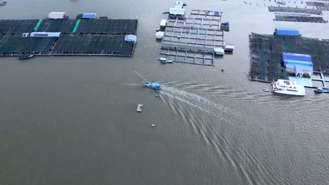A corner of the oyster feeding farm, float fishing village in Long Son commune,  Stock Footage 201502248