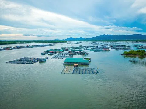 A corner of the oyster feeding farm, float fishing village in Long Son commun Stock Photos