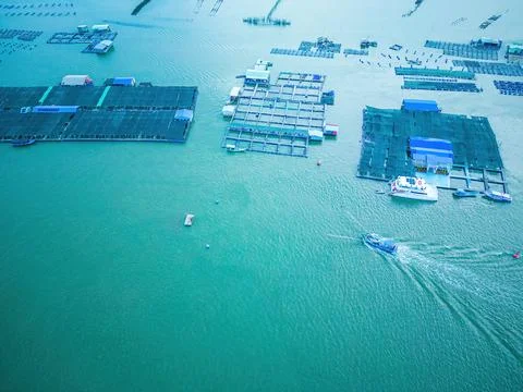 A corner of the oyster feeding farm, float fishing village in Long Son commun Stock Photos