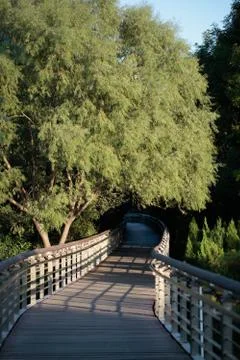 Corner of the park Stock Photos