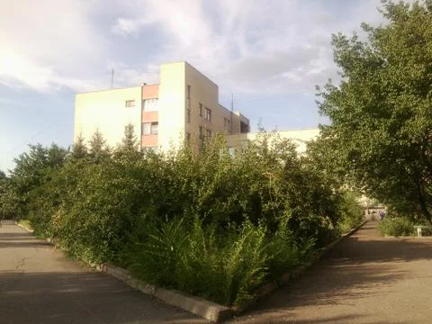 Corner of the road. Foto stock