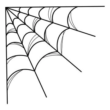 Corner spider web. Sketch. Vector illustration. Fine woven thread. Stock Illustration