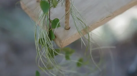 Corner of the swing with decoration Stock Footage 52316010