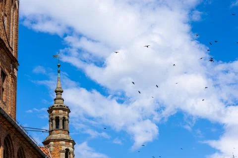 Corner tower of the Old Town Hall in Torun rises with a tall spire. Foto stock