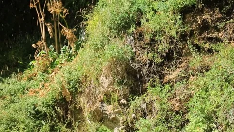 A corner of the waterfall in Termez Stock Footage 243899121