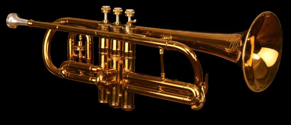 Cornet on black Fotos Stock