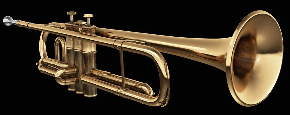 Cornet on black 写真素材