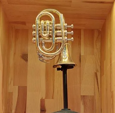 Cornet, Brass Instrument Stock Photos