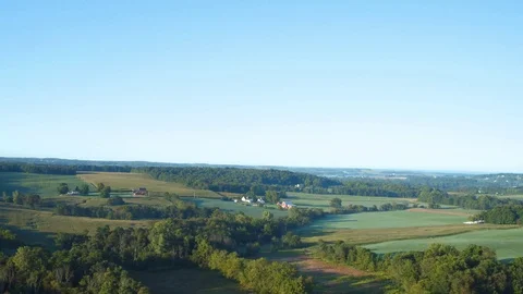 CORNFIELD, AERIAL SHOT, CONTRASTING ROWS OF CORN Stock Footage 114992544