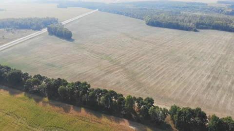 Cornfield aerial view in sunny day. Stock Footage 120620708
