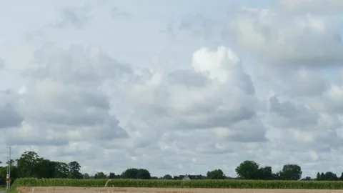 Cornfield with clouds, Lower Saxony, Germany Stock Footage 277388105