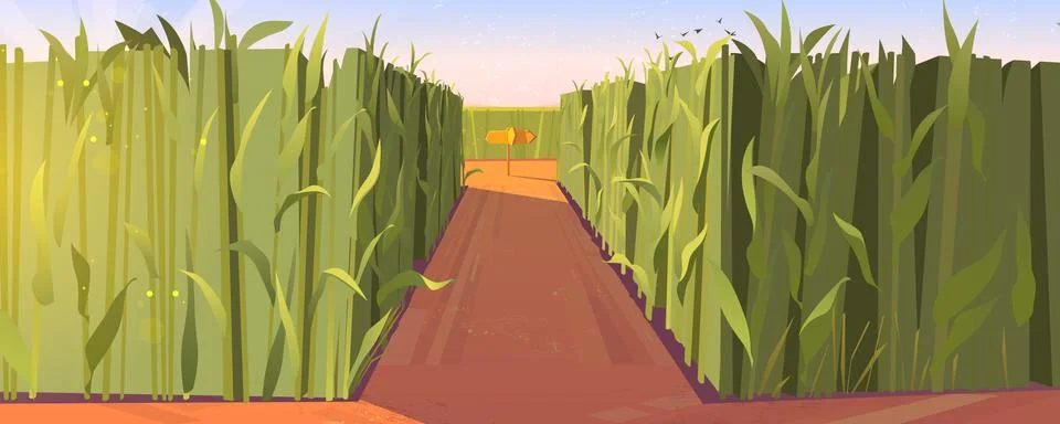 Cornfield day landscape with road pointers 스톡 일러스트