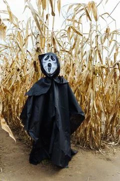 Cornfield decoratively decorated for All Saints' Day and Halloween with a Stock Photos
