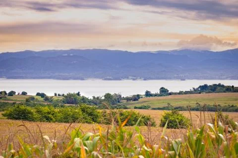 Cornfield Farm Stock Photos