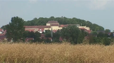 Cornfield Stock Footage 987907