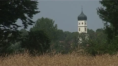 Cornfield Stock Footage 987911