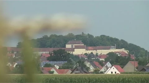 Cornfield Stock Footage 987915