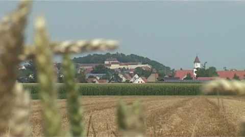 Cornfield Stock Footage 987918