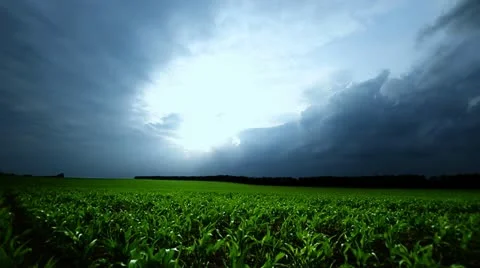 CORNFIELD Stock Footage 11535210
