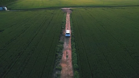 Cornfield Stock Footage 239729701