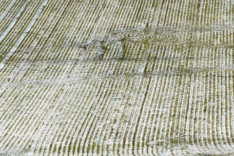 Cornfield from high perspective in winter Stock Photos