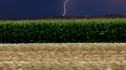 Cornfield Lightning Strike Stock Footage 861799