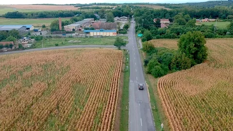 Cornfield with road and cars - drone footage Stock Footage