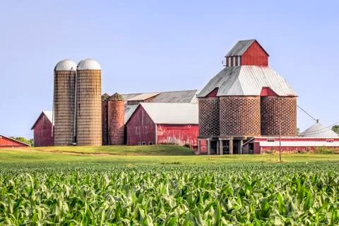 Cornfield, Silos, and Barns Stock Photos