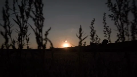Cornfield at summer sunset dark Video stock 102512751