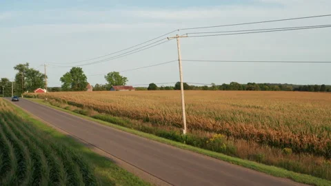 Cornfield sunset with blue car Stock Footage 140069575