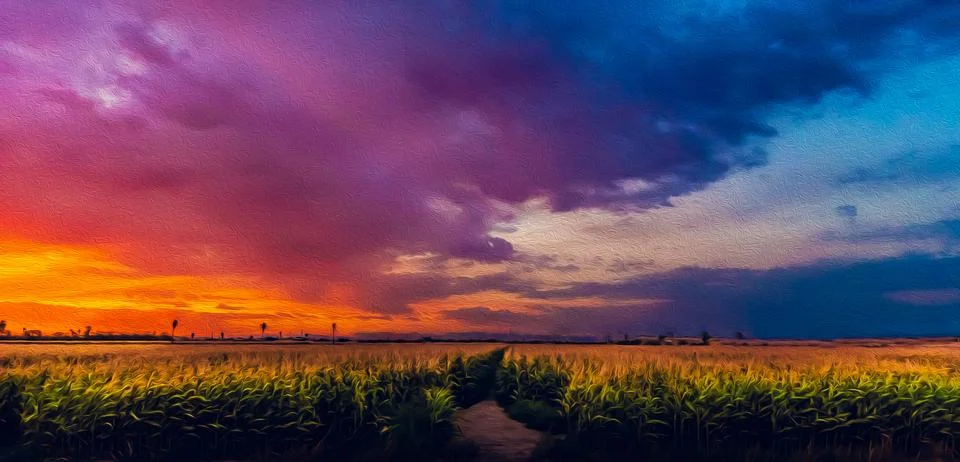 Cornfield Sunset Illustrazione stock