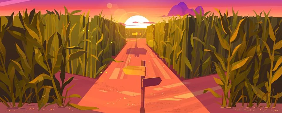 Cornfield sunset landscape with road pointers 스톡 일러스트