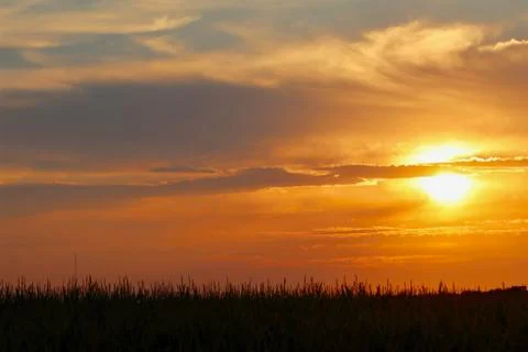 Cornfield Sunset Stock Photos