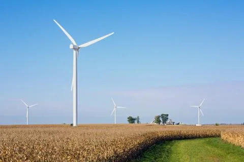 Cornfield with Wind Turbines Stock Photos