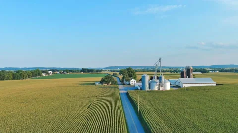 Cornfields and Farm Aerial Dolly Shot at Sunset Vidéo 159437647