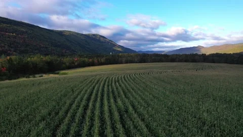 Cornfields and Mountains in Autumn Stock Footage 162337944