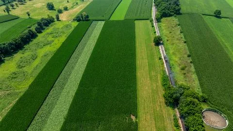 Cornfields Stretch Across the Landscape in Summer With a Road Running Throu.. Stock Photos