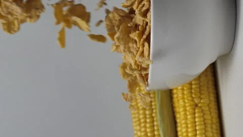 Cornflakes fall into a bowl. corn cobs lie nearby. vertical screen. Stock Footage 259202678