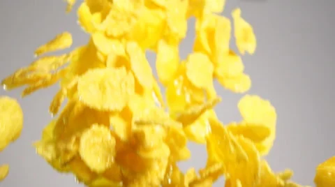 Cornflakes Fall on white background Stock Footage 63091293